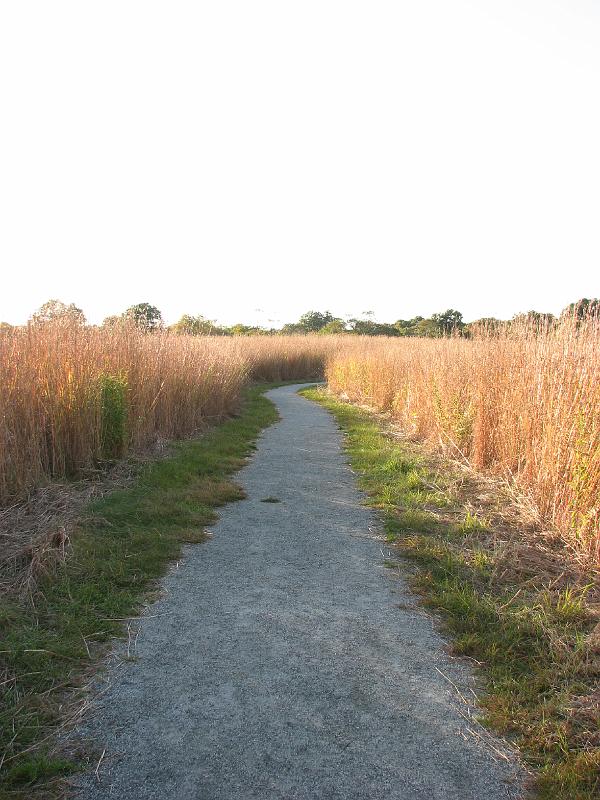 2008-10-11_Tiverton_Trustom 117.jpg